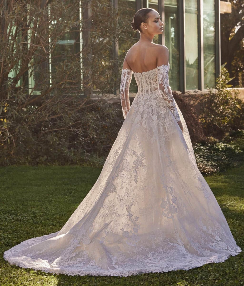 Dabri-dos-Pronovias-robe-de-mariee-princesse-trapeze-dentelle-bustier-droit-traine-magasin-de-robes-de-mariee-Paris